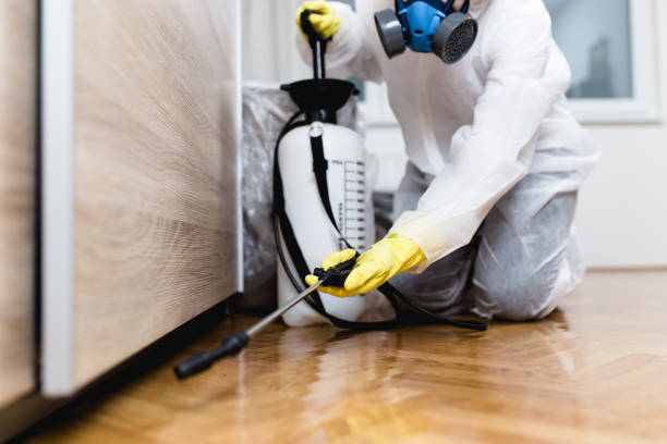 Best Commercial Pest Control Services  in Litchfield Park, AZ