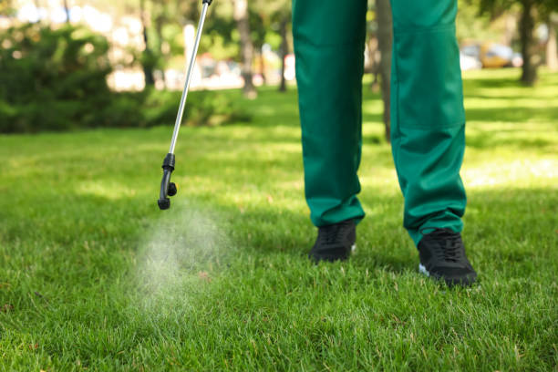 Best Pest Removal Services  in Litchfield Park, AZ