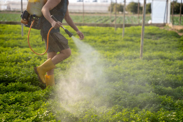 Best Commercial Pest Control Services  in Litchfield Park, AZ