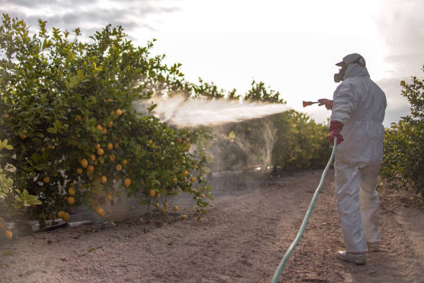 Bird Control in Litchfield Park, AZ