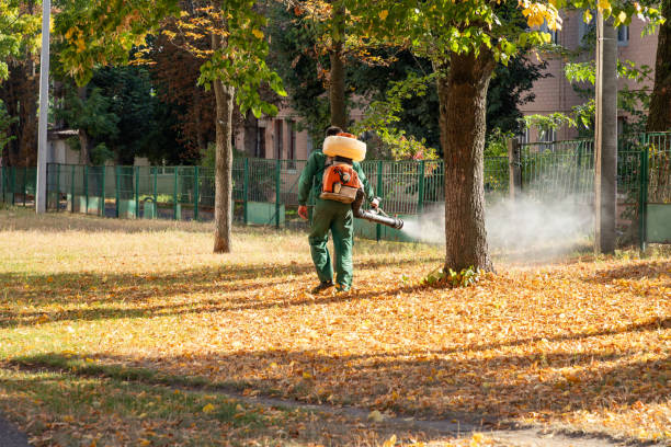 Best Local Pest Control Services  in Litchfield Park, AZ